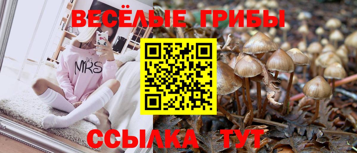 Псилоцибиновые грибы Psilocybe  Вход с VPN  Гудермес 